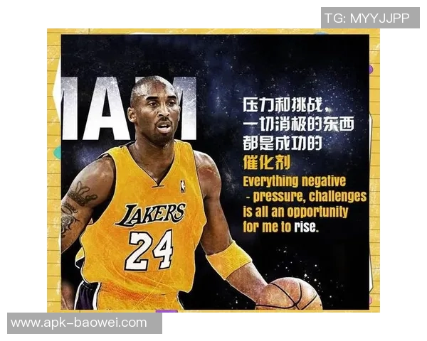 篮球明星壁的传奇故事与他们背后的奋斗历程探秘